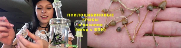 эйфоретик Вязники