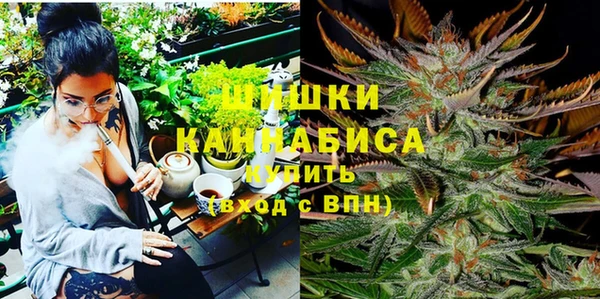 винт Сосновый Бор