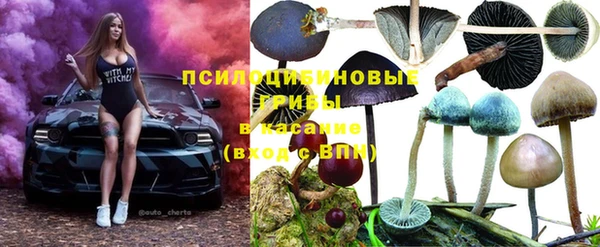 марки lsd Вяземский