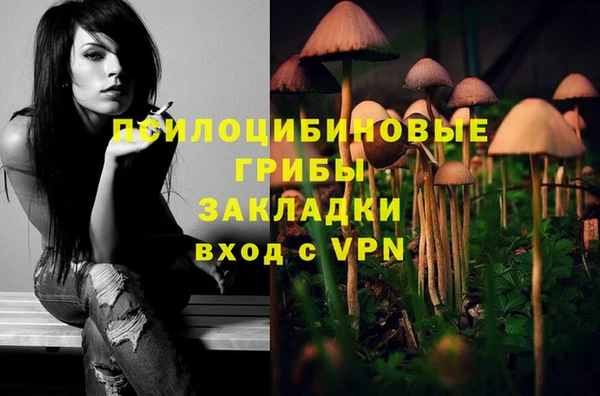 эйфоретик Вязники